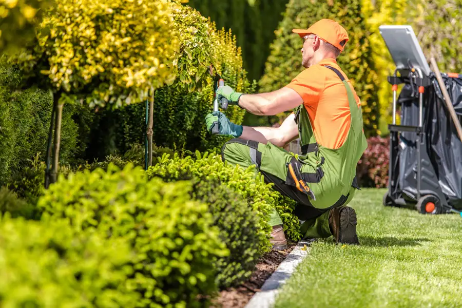 Professional Landscaping Contractor in Kent, WA Professional Landscaping Contractor in Kent, WA